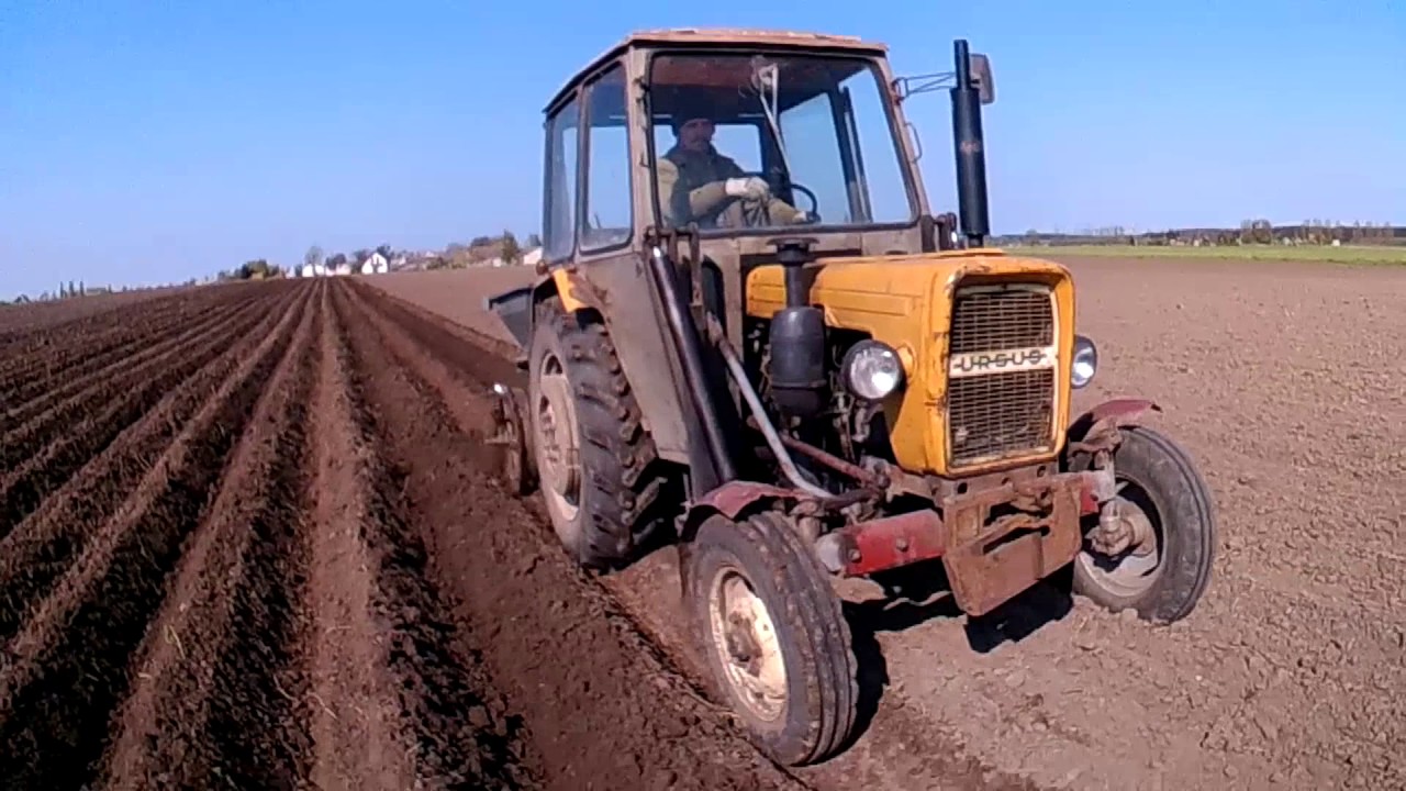 Uprawa i sadzenie ziemniaka | URSUS | ZETOR | HD |