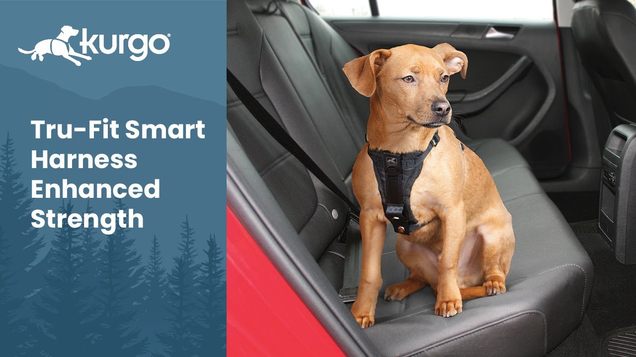 The Tru-Fit Smart Harness Enhanced Strength | Crash Tested Dog Safety Harness