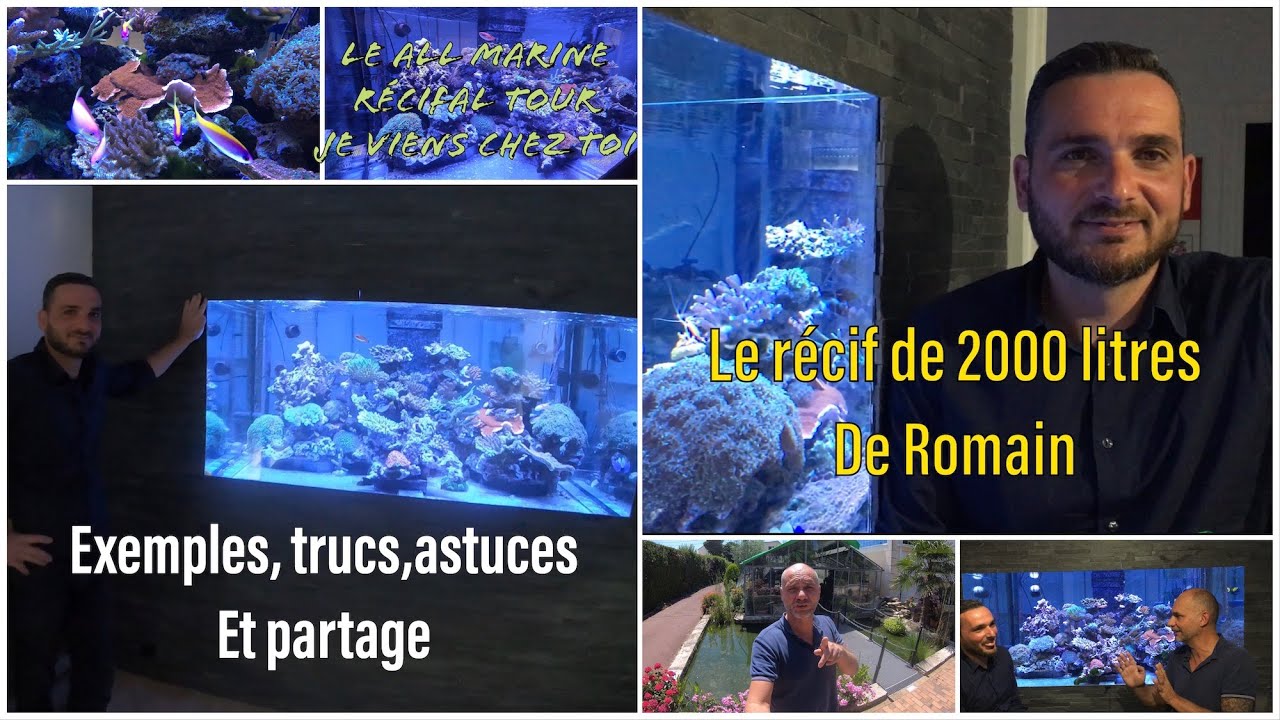 JE VAIS VOIR VOS RECIFS,L’AQUARIUM DE 2000 LITRES DE ROMAIN