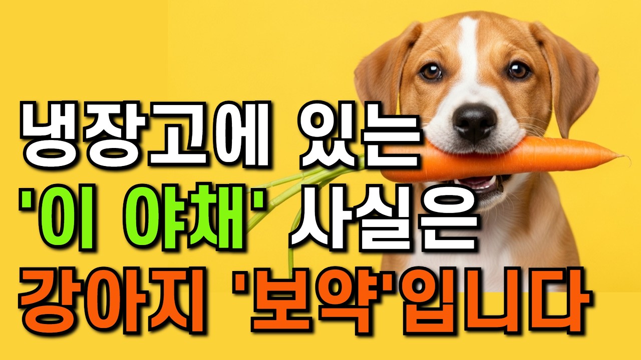 강아지 수명 5년 늘리는 의외의 야채 15가지와 절대 먹이면 안 되는 3가지 (수의학 데이터 기반)
