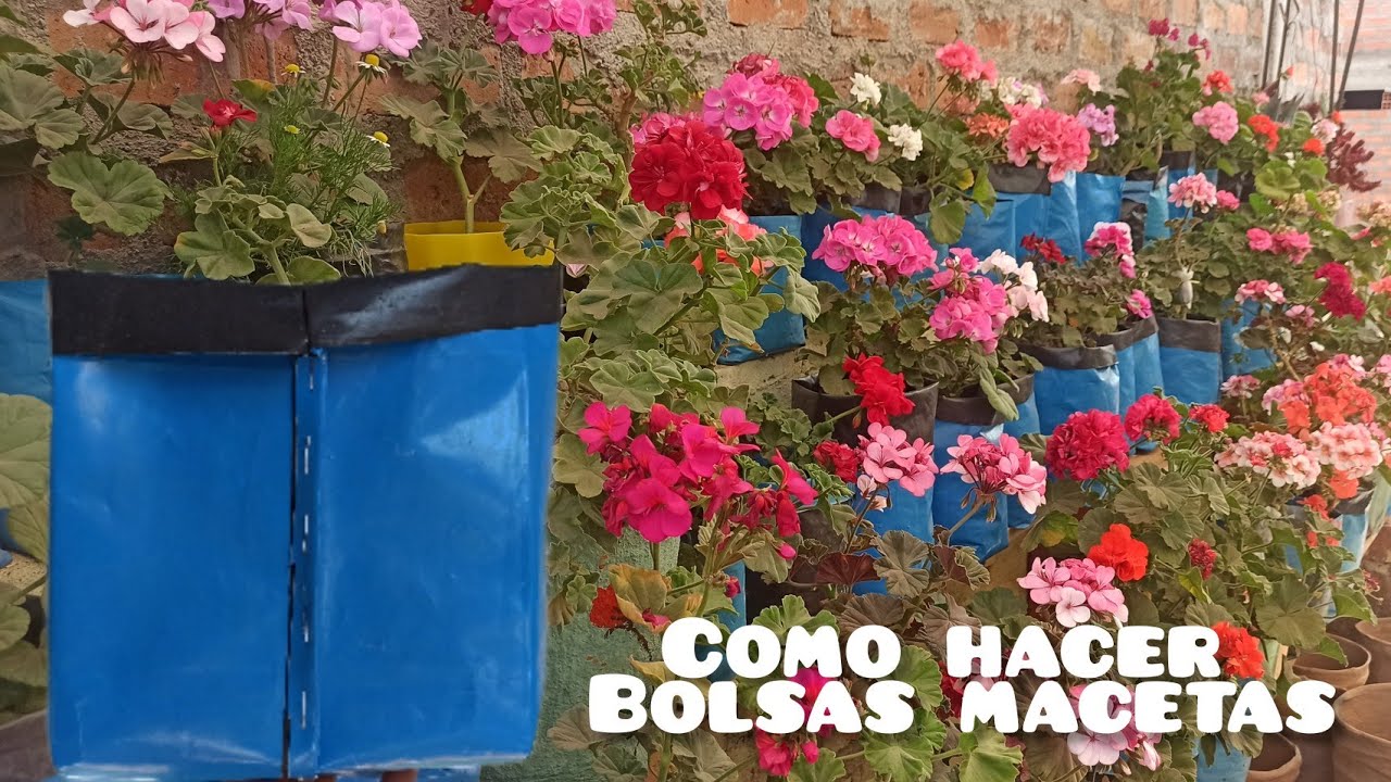 cómo hacer maceta de plástico