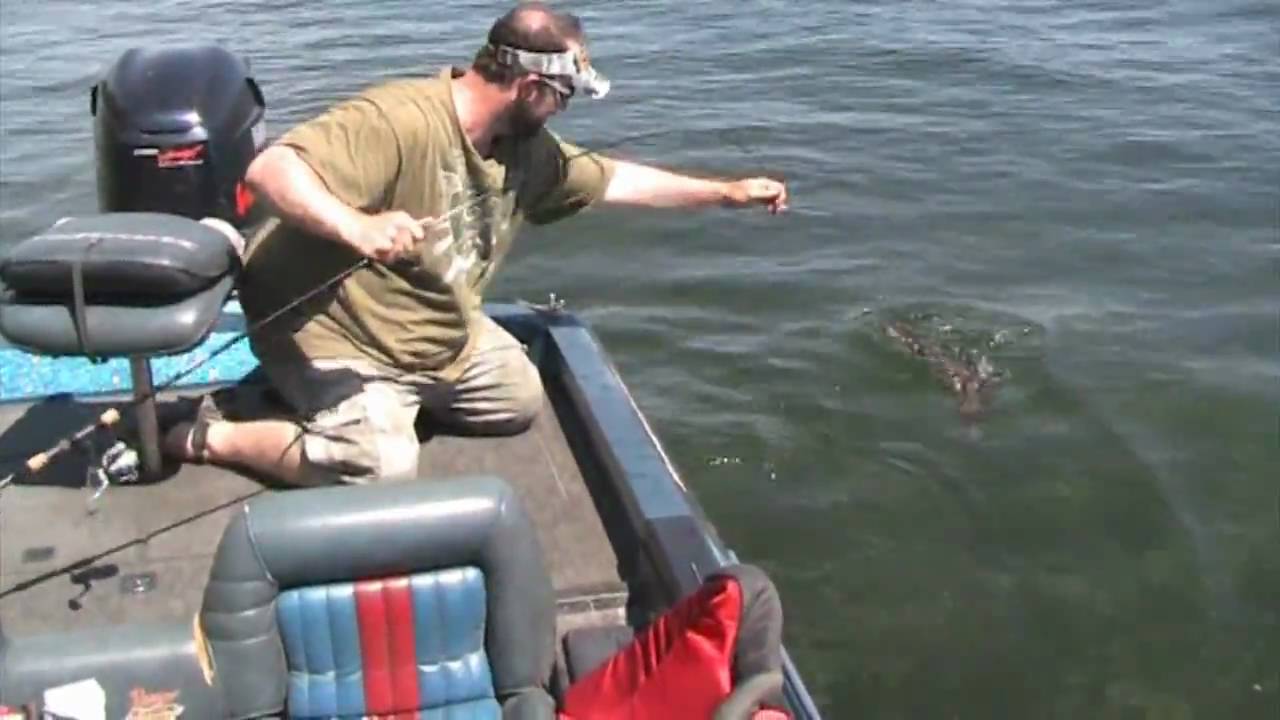 Savage Northern Michigan Dogfish