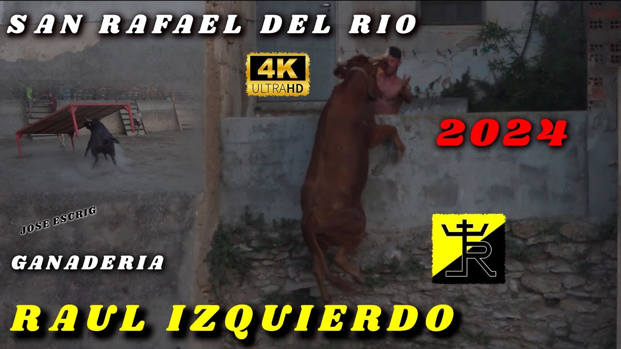 🔝🔝4 K EMPARRADAS DE VACAS DE RAUL IZQUIERDO