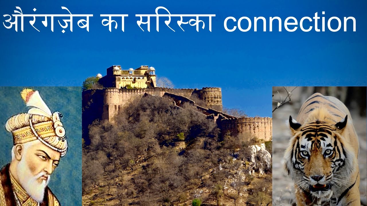 Sariska Tiger Reserve Holds Aurangzeb's Dark Secret I @tigersandbeyond I Ajay Suri