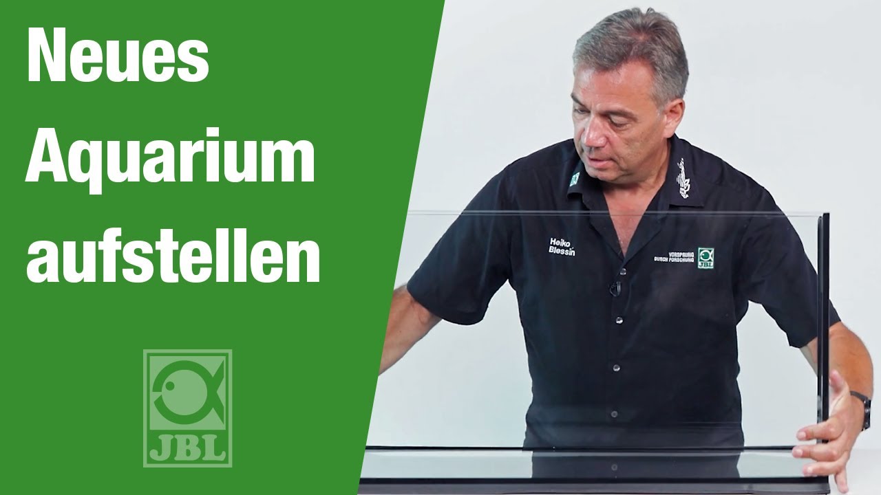 JBL TV 33: Neues Aquarium aufstellen - Checkliste für den richtigen Standort