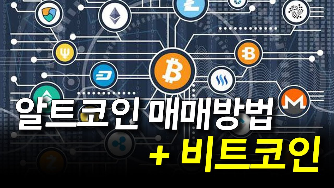 알트코인 매매로 돈버는 방법 + 비트코인 분석