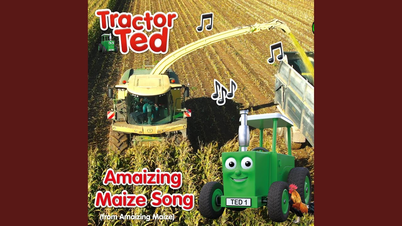 Amaizing Maize (From Amaizing Maize)