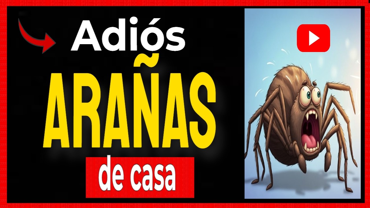 🔴 REMEDIOS NATURALES PARA MANTENER ALEJADAS A LAS ARAÑAS