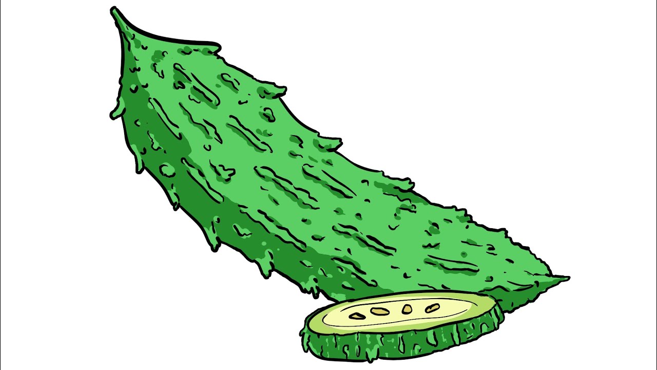 How to Draw BITTER GOURD With BETTER