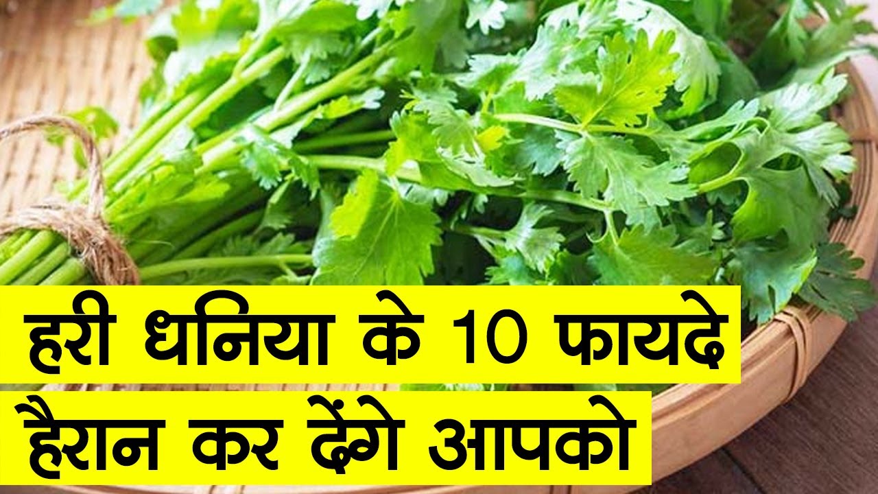 हरी धनिया, Health के लिए बहुत बढिया l Benefits Of Coriander