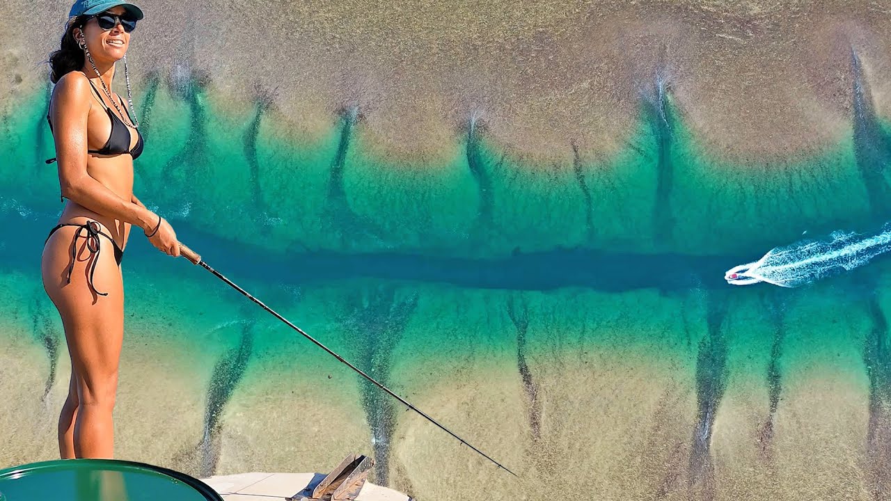 The Wildest Reef Catch & Cook
