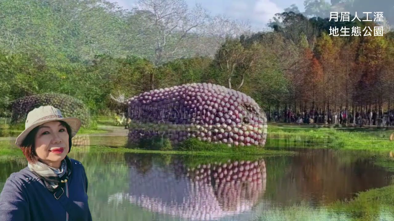 花若離枝/桃園月眉人工濕地環保公園落羽松大道