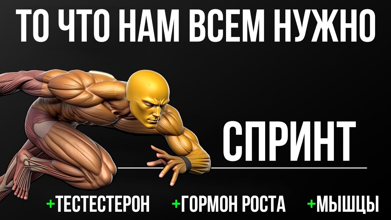 СПРИНТ. ТО ЧТО НАМ ВСЕМ НУЖНО
