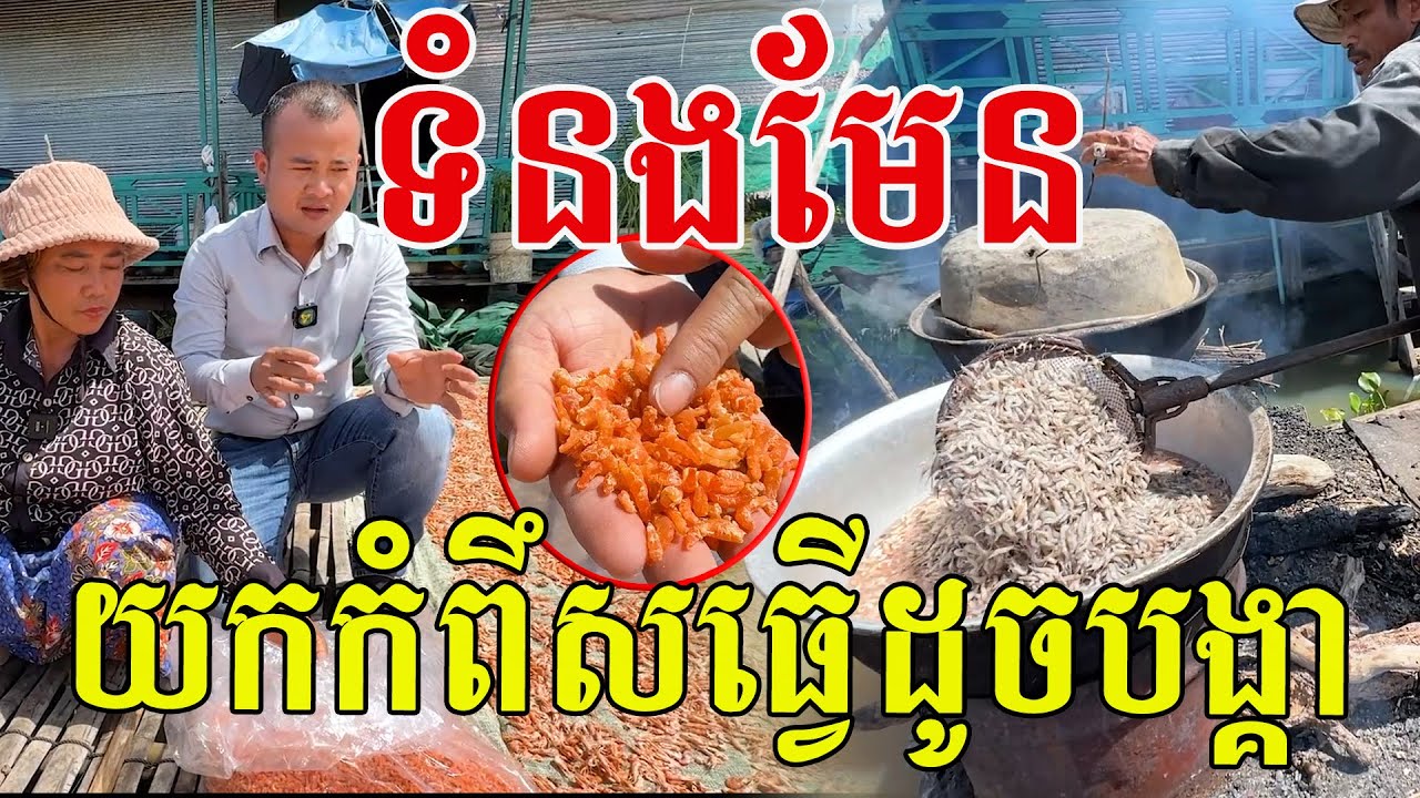 ទំនងមែន យកកំពឹសធ្វើដូចបង្គា រាប់តោនក្នុង១ឆ្នាំៗ