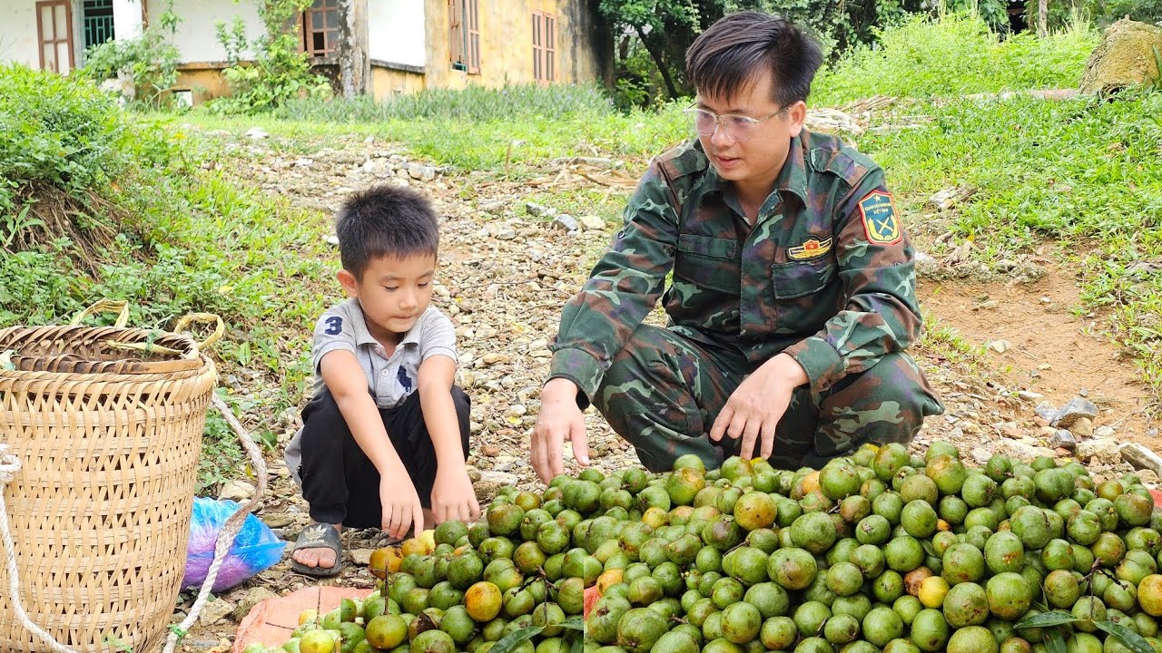 Harvesting forest fruits to sell at the market with the boy.