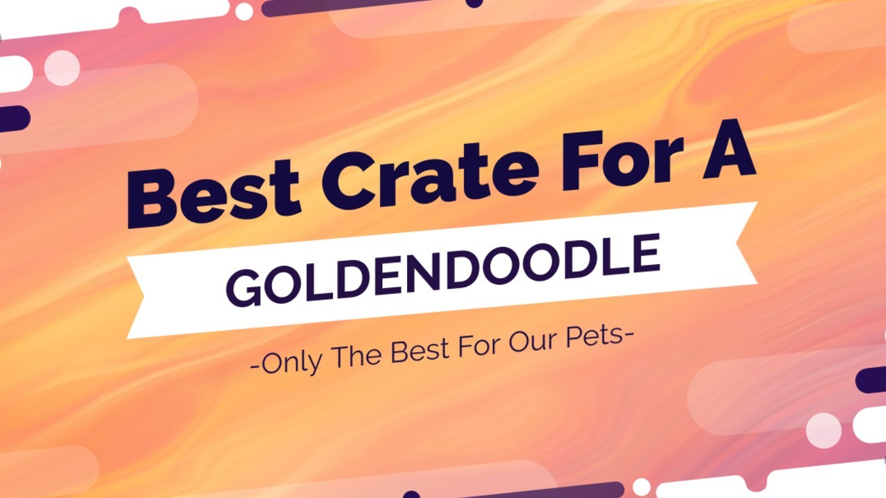 Best Dog Crate for A Goldendoodle or Mini-Goldendoodle