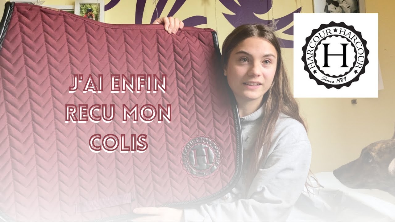[HAUL] J'AI ENFIN RECU MON COLIS HARCOUR