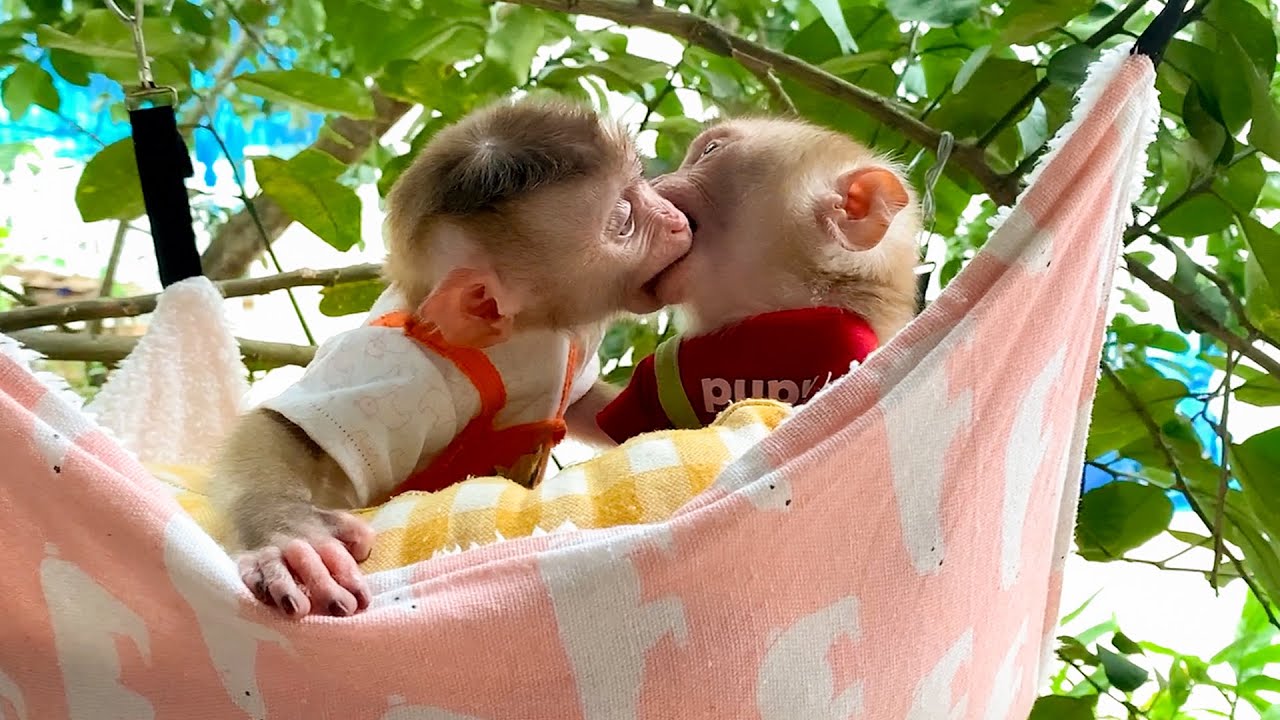 Very happy! Mom took Monkey Puka to visit his best friend!