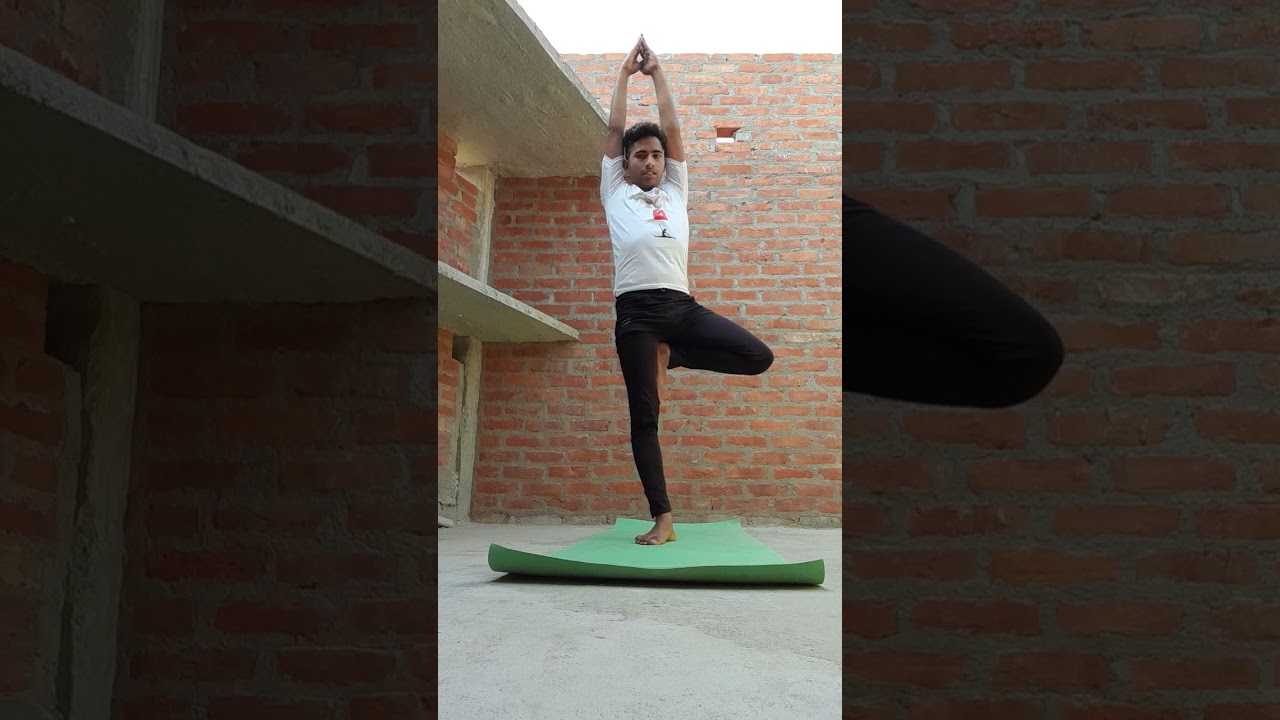 Yoga for beginners. #yogavideo #beginnersyoga #howtodoyoga