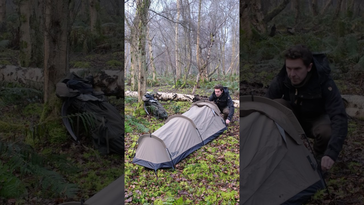 First look at the Alton Walkabout Swag (version 2). A VERY SPACIOUS bivvy!
