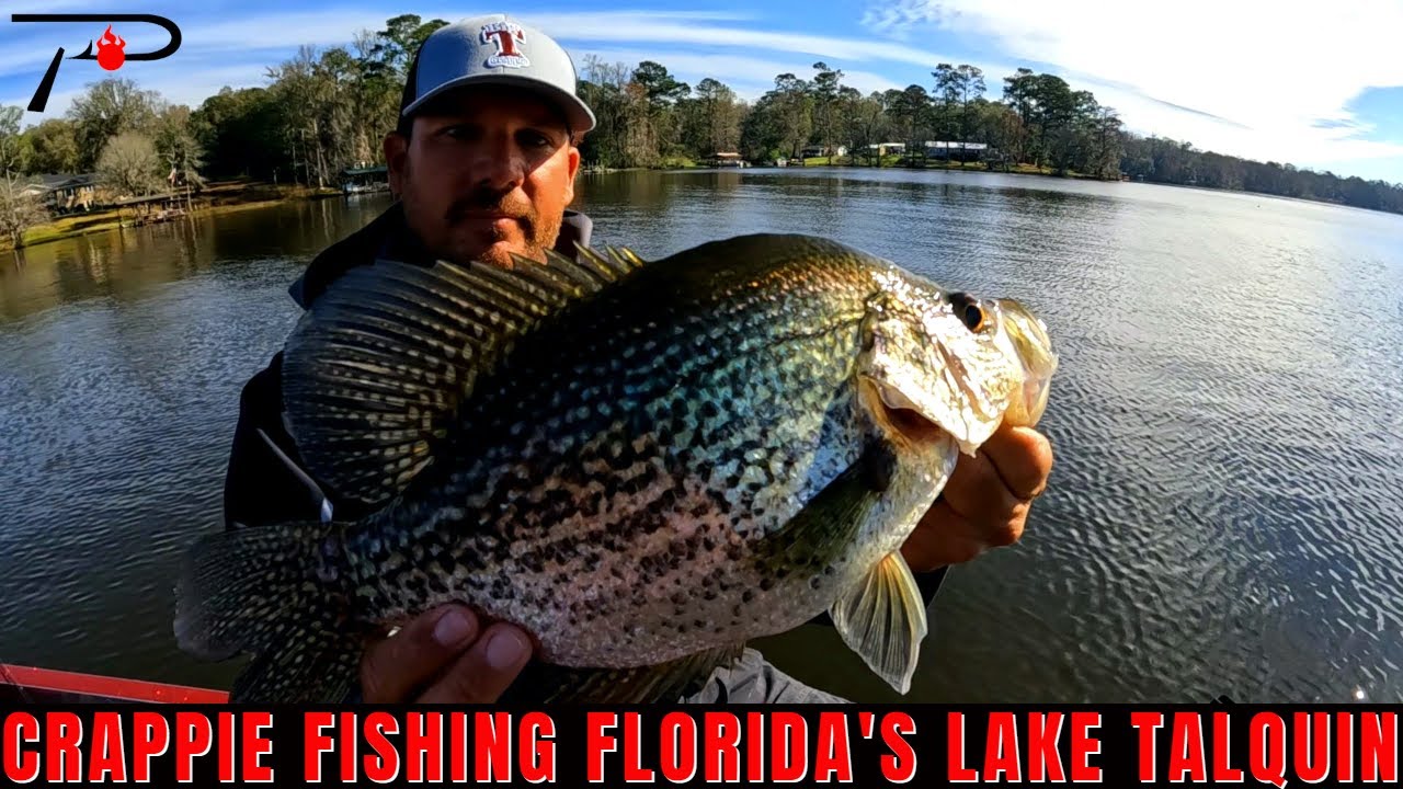 Lake Talquin Crappie Fishing