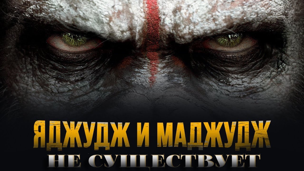 Ясир Кады: 