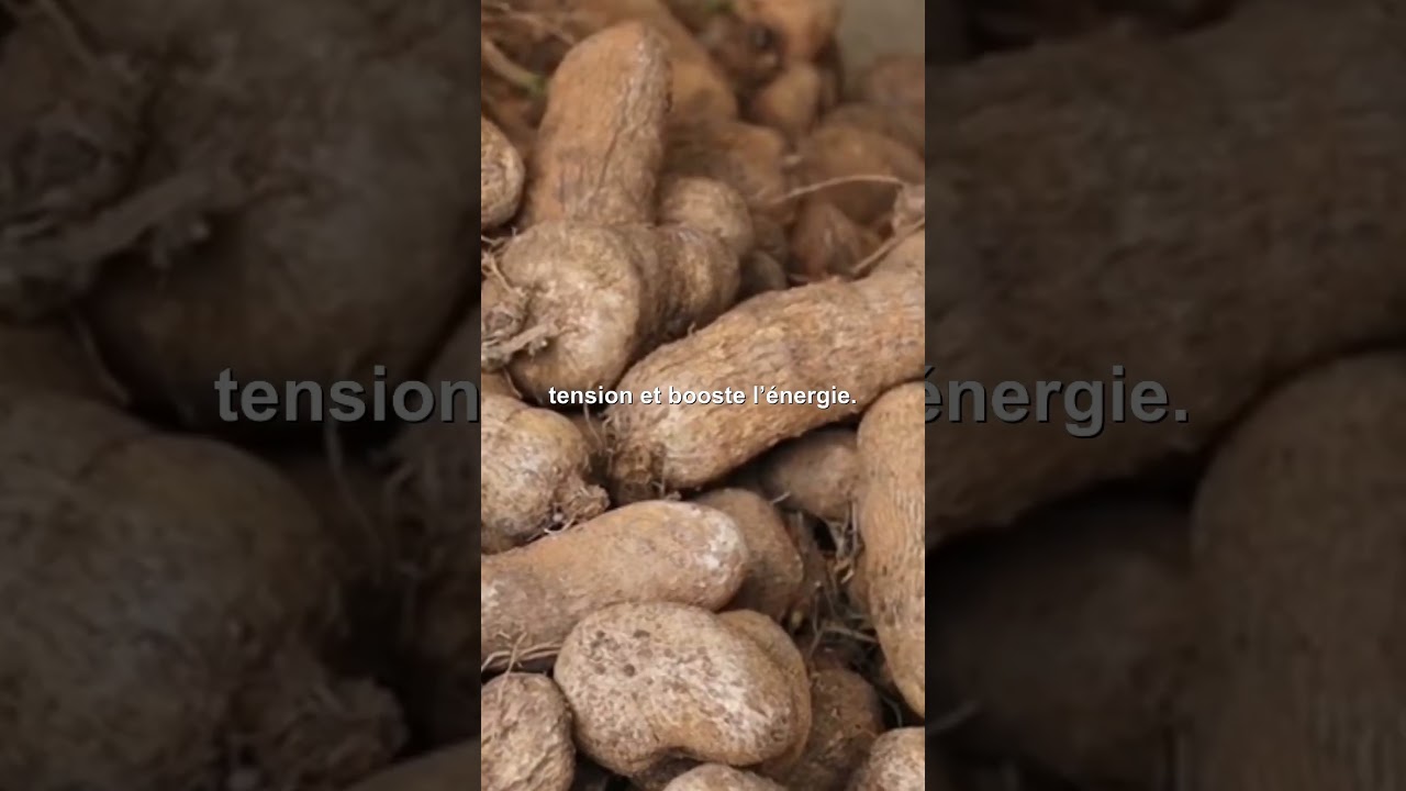 IGNAME, UN TUBERCULE RICHE EN &Eacute;NERGIE POUR LES 50 ANS ET PLUS #Igname