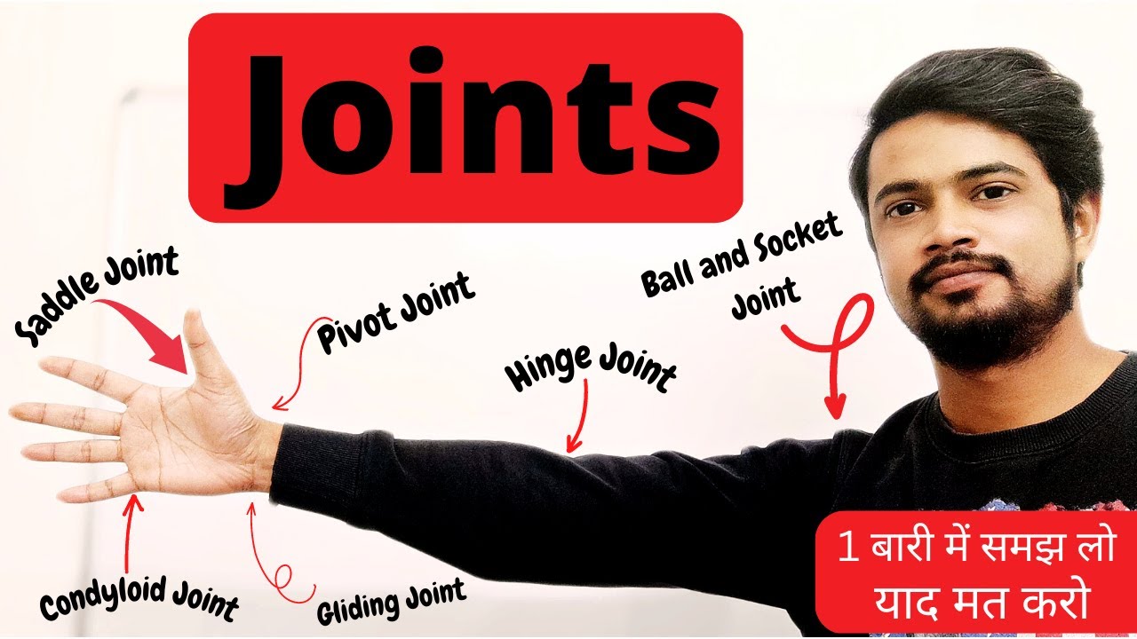 Joints of the human body anatomy and physiology | Types | Locomotion and movement | Hindi