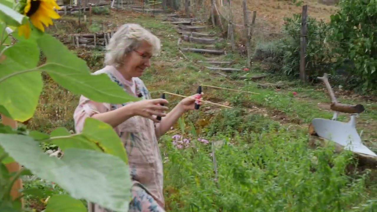 Harmonisation du jardin  - 27 aout 2025