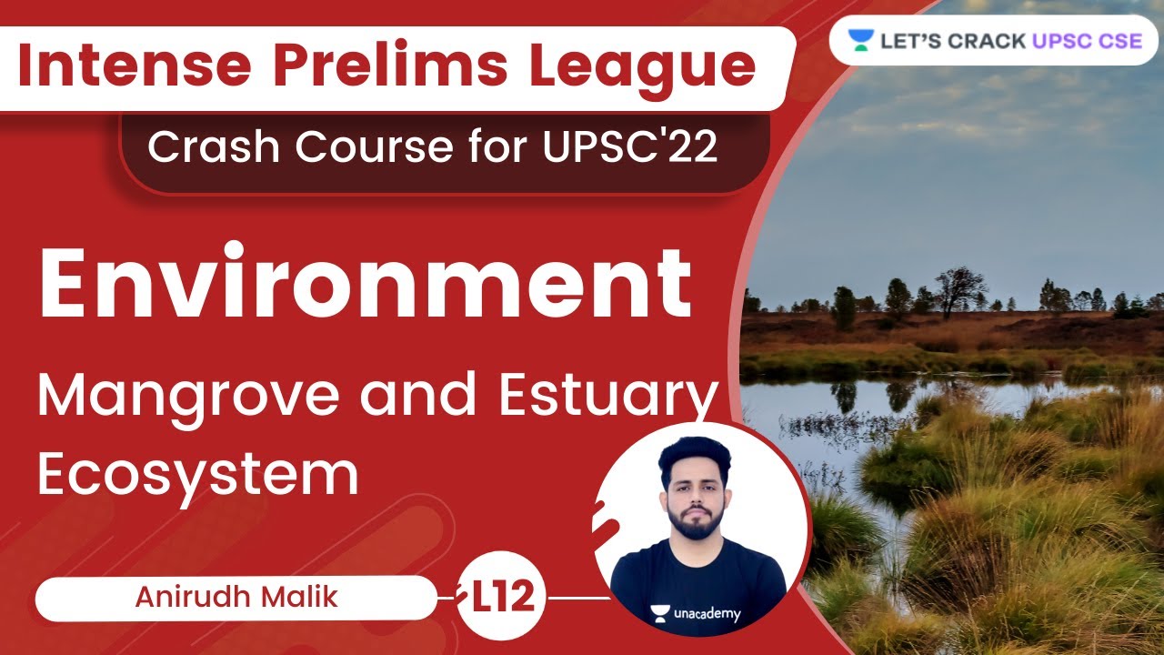 Environment | L13 - mangrove and estuary ecosystem | Anirudh Malik | Let's Crack UPSC CSE