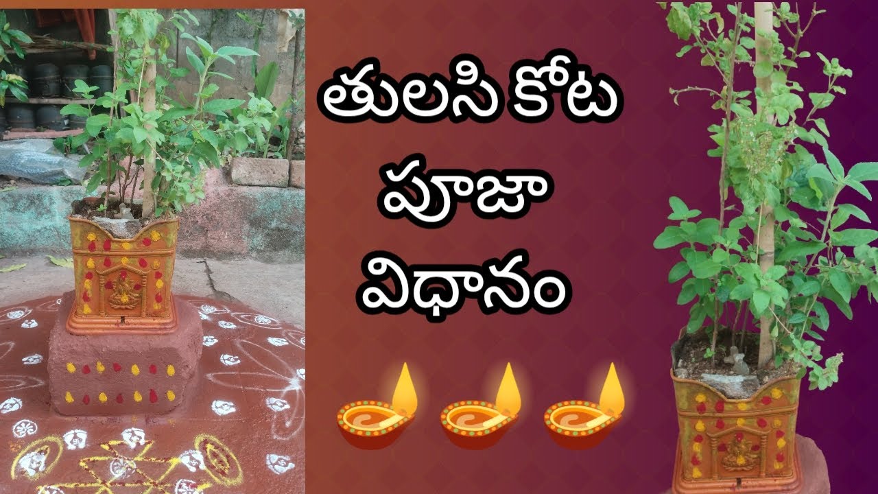 Tulasi pooja || తులసి కోట పూజ విధానం