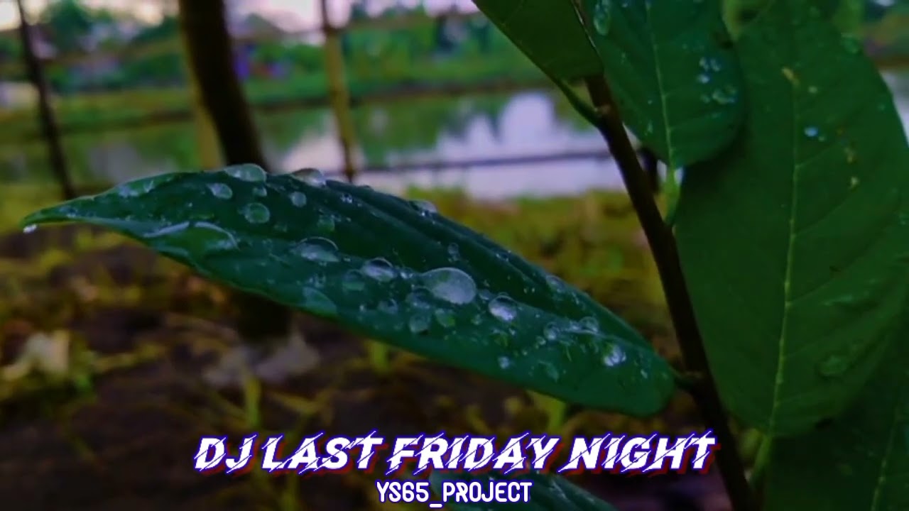 DJ Last Friday Night|Jinggle Rafanda Audio Pasuruan|By RIKKI VAM 69 Project