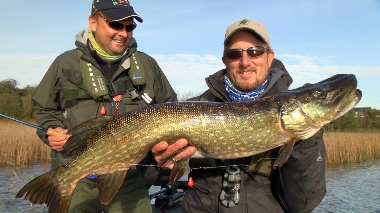 HOW TO FLY FISH FOR IRISH PIKE