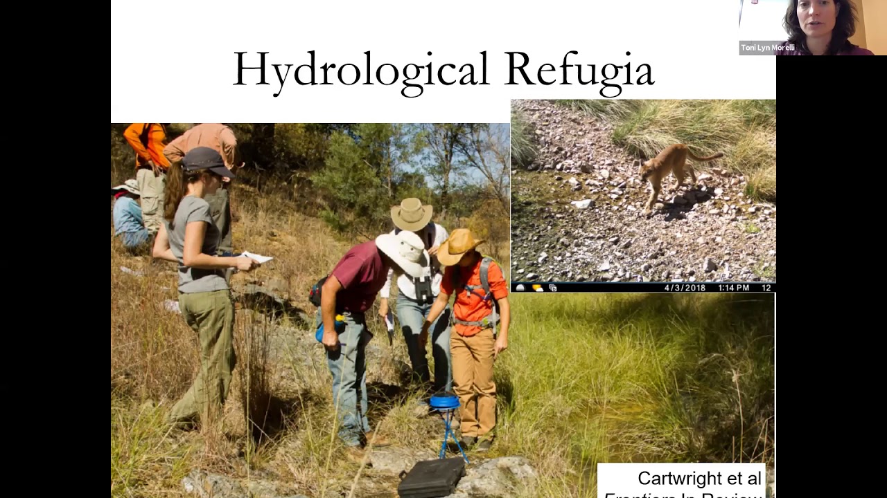 Climate Change Refugia
