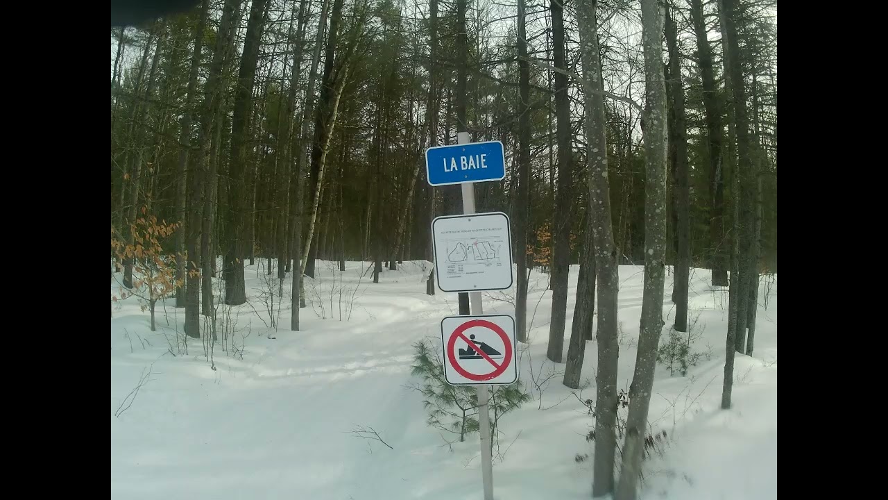 20 février 2026  Ski de fond  Champlain
