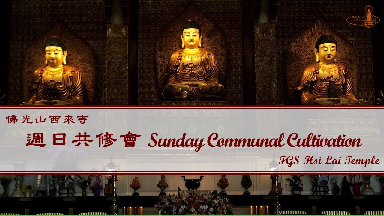 2026.02.15【週日共修會：彌陀經 Sunday Communal Cultivation：Amitabha Sutra】佛光山西來寺 FGS Hsi Lai Temple