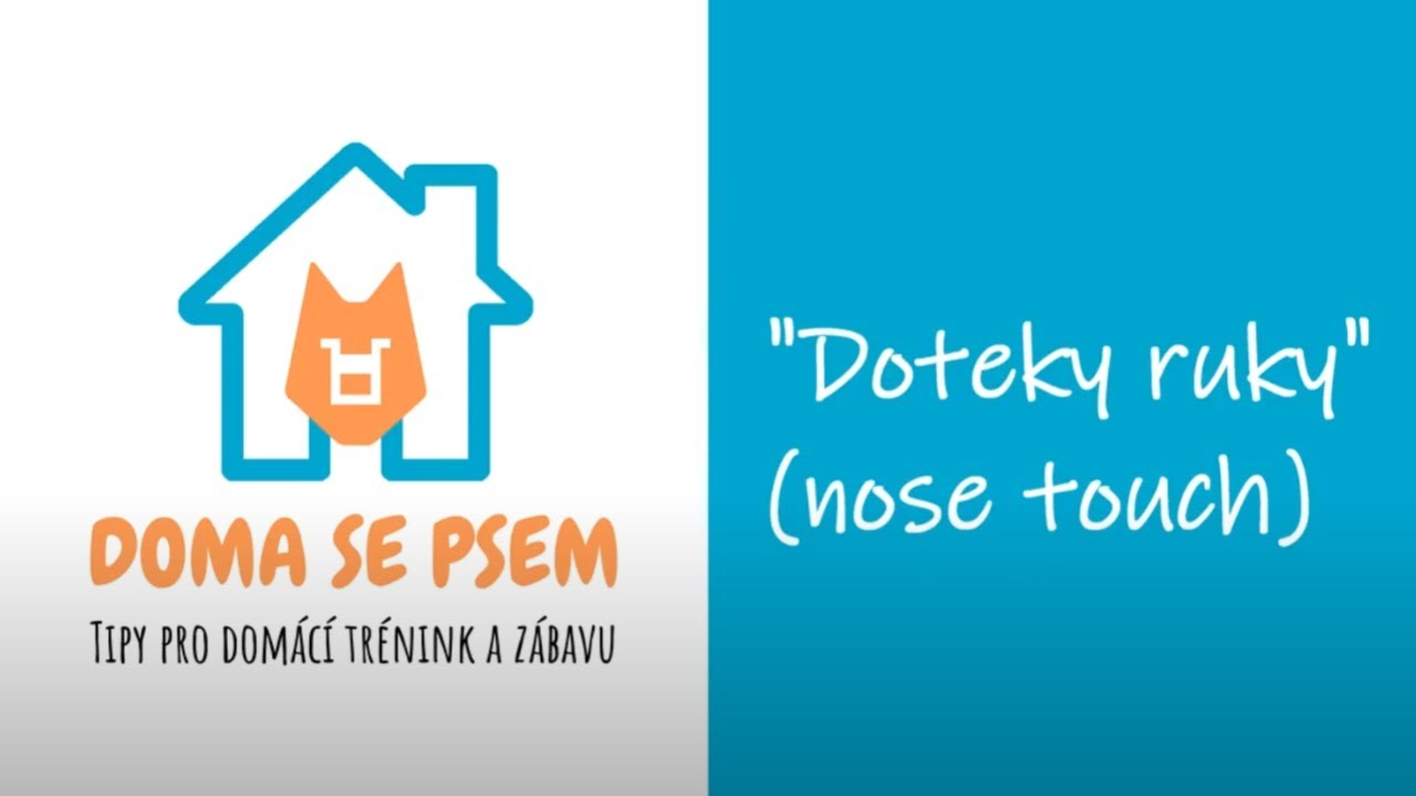 DSP 5 dotekyruky