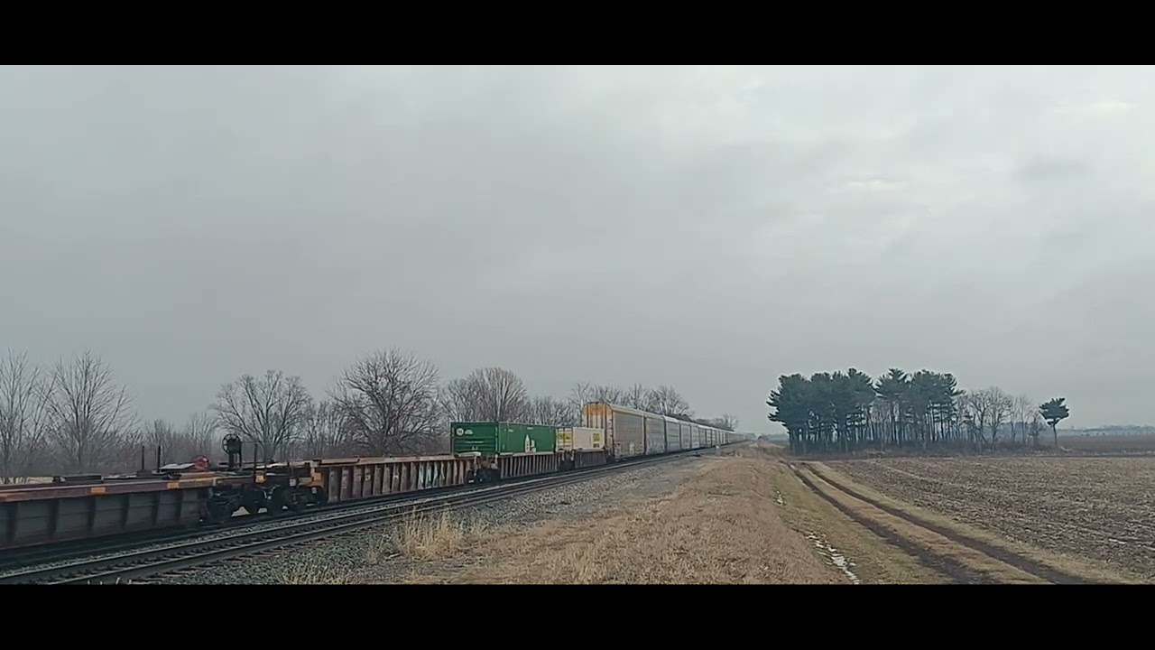 Z149 with a Great Lash! 1/6/26