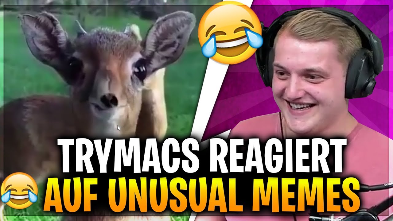 Trymacs REAGIERT auf UNUSUAL MEMES! 😂  | Trymacs Stream Highlights
