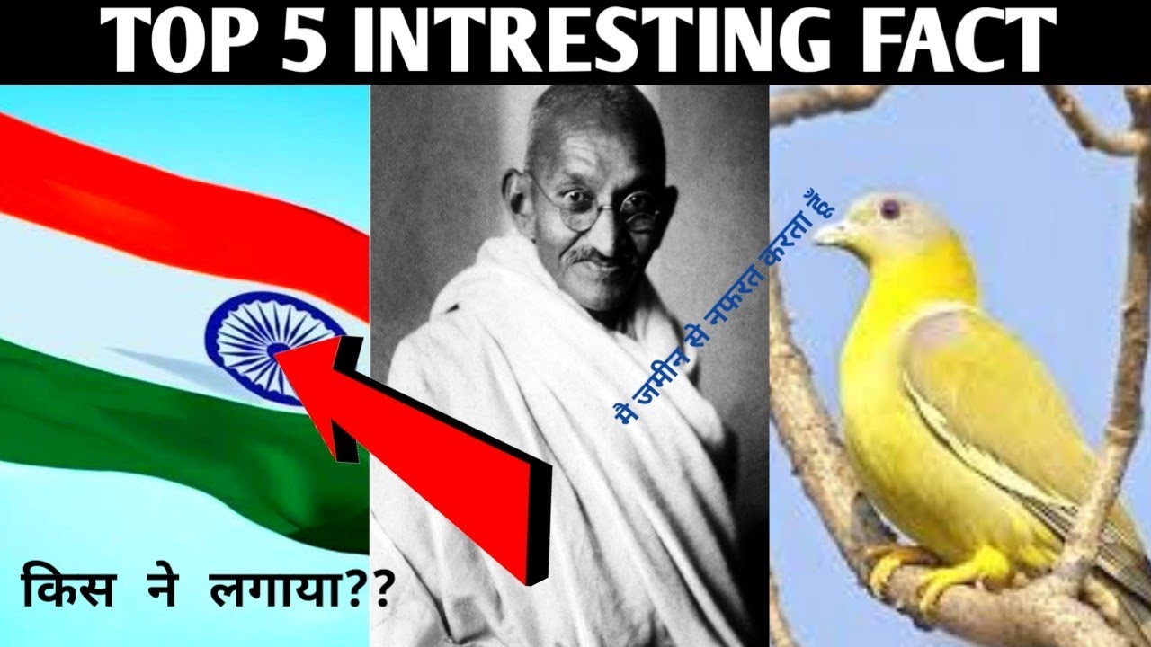 Too 5 amezing fact.!! in hindi #2 #mast_fact #shortfact #yt