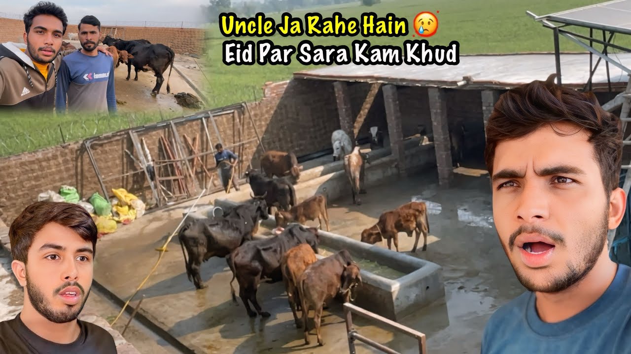 Eid Par Haveli Ke Saray Kam Khud Karne Honge 😱Uncle Ja Rahe Hain | Goat Farming | Zohaib Pendu