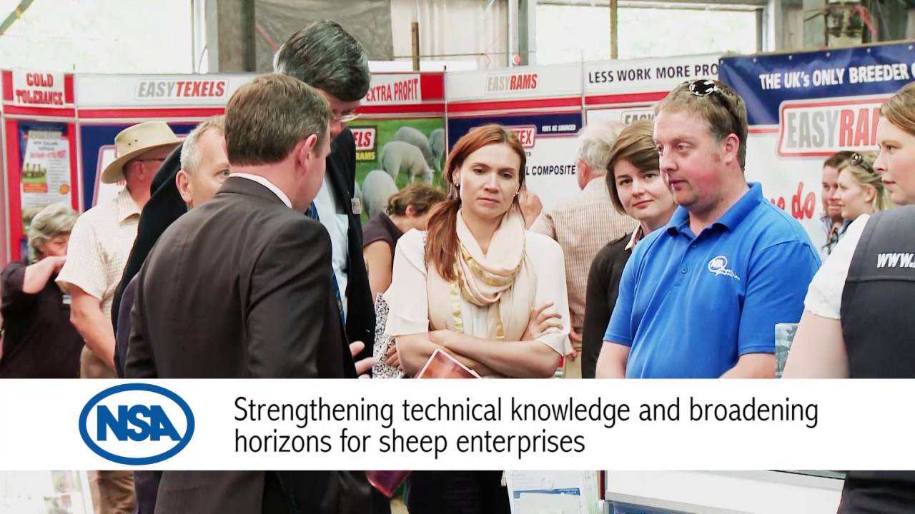 NSA Sheep 2016 Preview