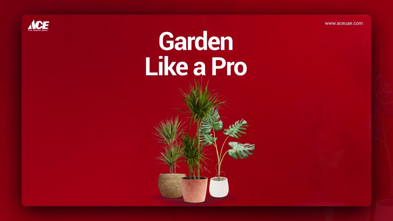 Outdoor Furniture, BBQs, and Garden Essentials | ACE UAE