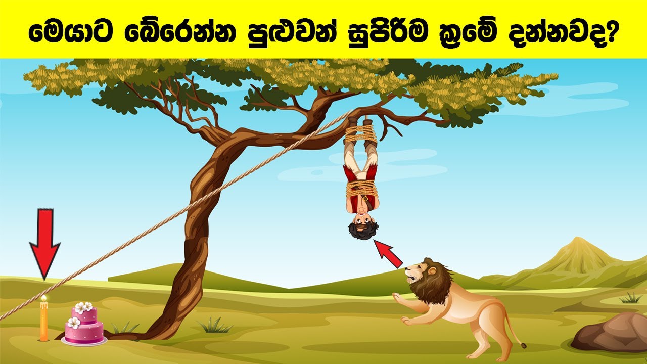 Smart Test EP:115| මේවා ස්මාට් වැඩ්ඩන්ට විතරයි | Riddles In Sinhala l Sinhala Riddles