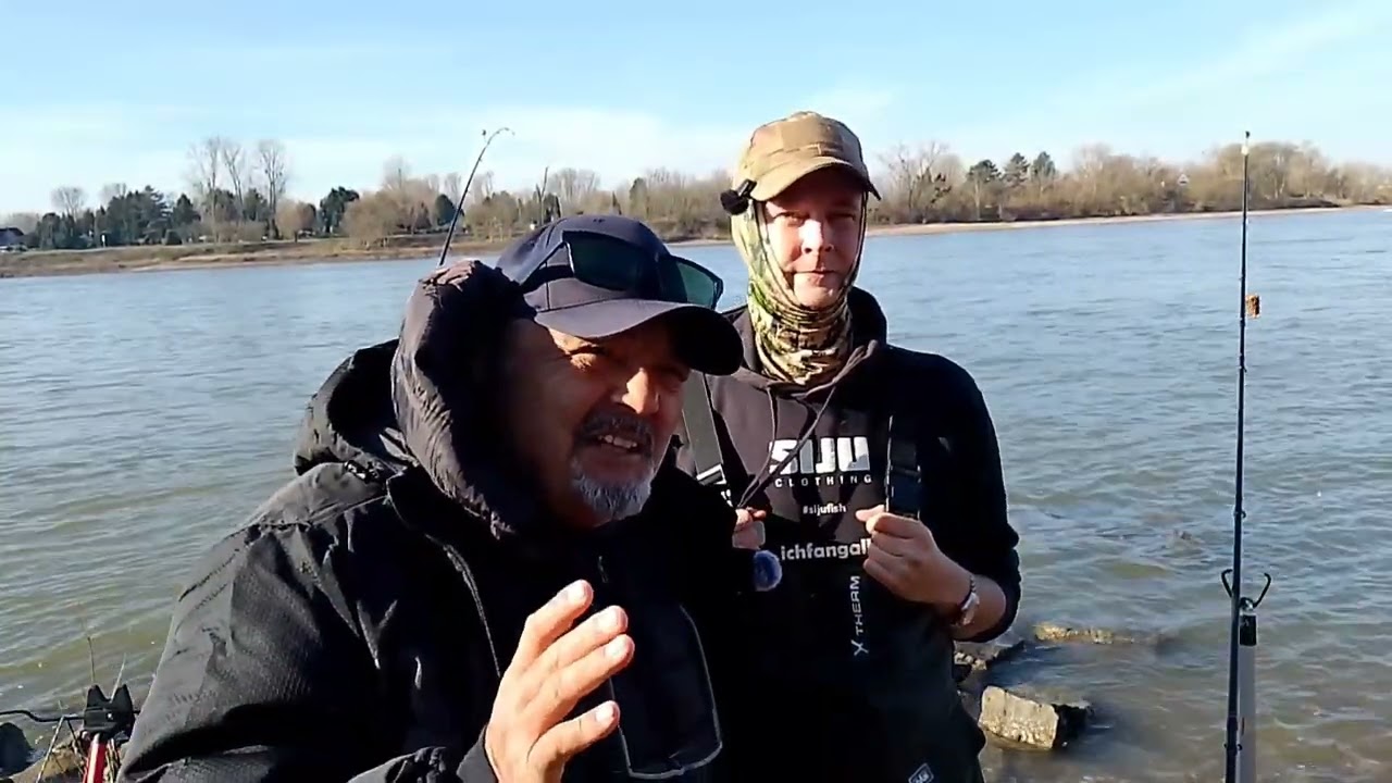 Barben sind auch Februar beisslaune am VaterRhein