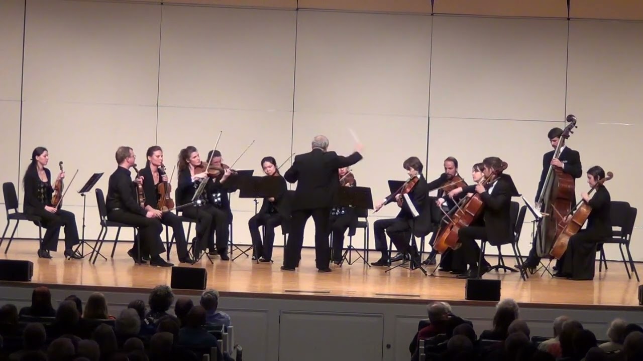 Dvorak -- Serenade for strings in E major, Op. 22 / Rachlevsky, RSO