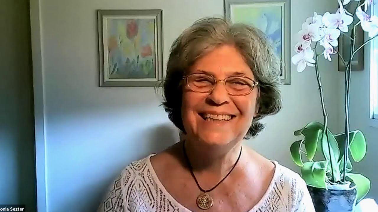 Como reconhecer as forças adversas e redimi-las. Sônia Setzer
