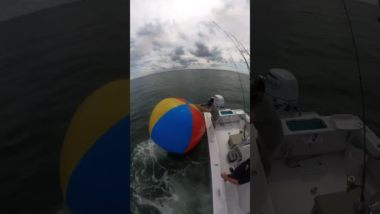 Found a giant beach ball 8miles from the beach.
