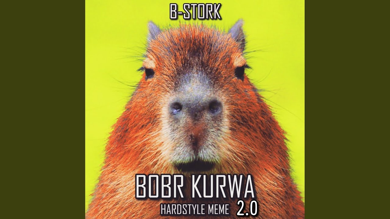 Bobr Kurwa Hardstyle Meme 2.0