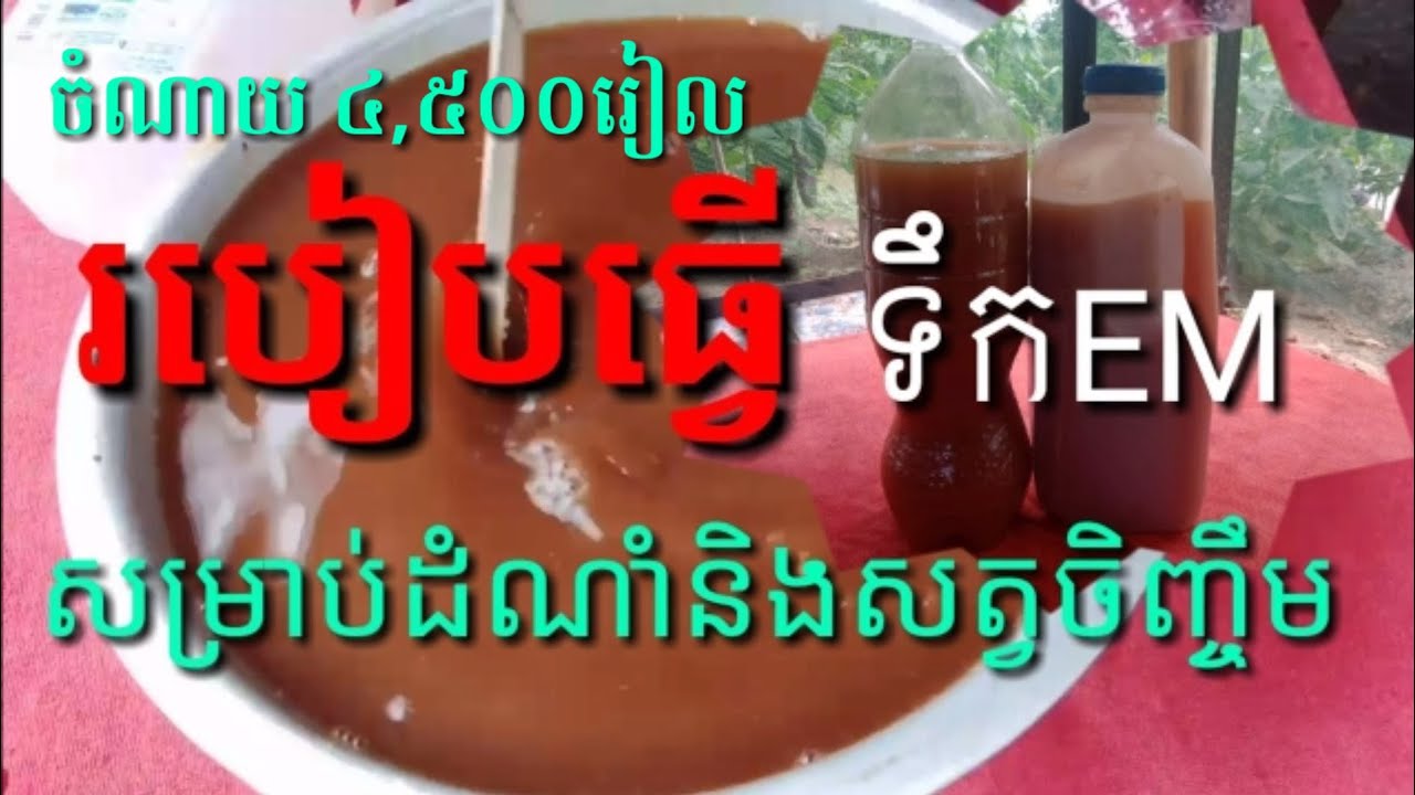 របៀបធ្វើទឹកEM